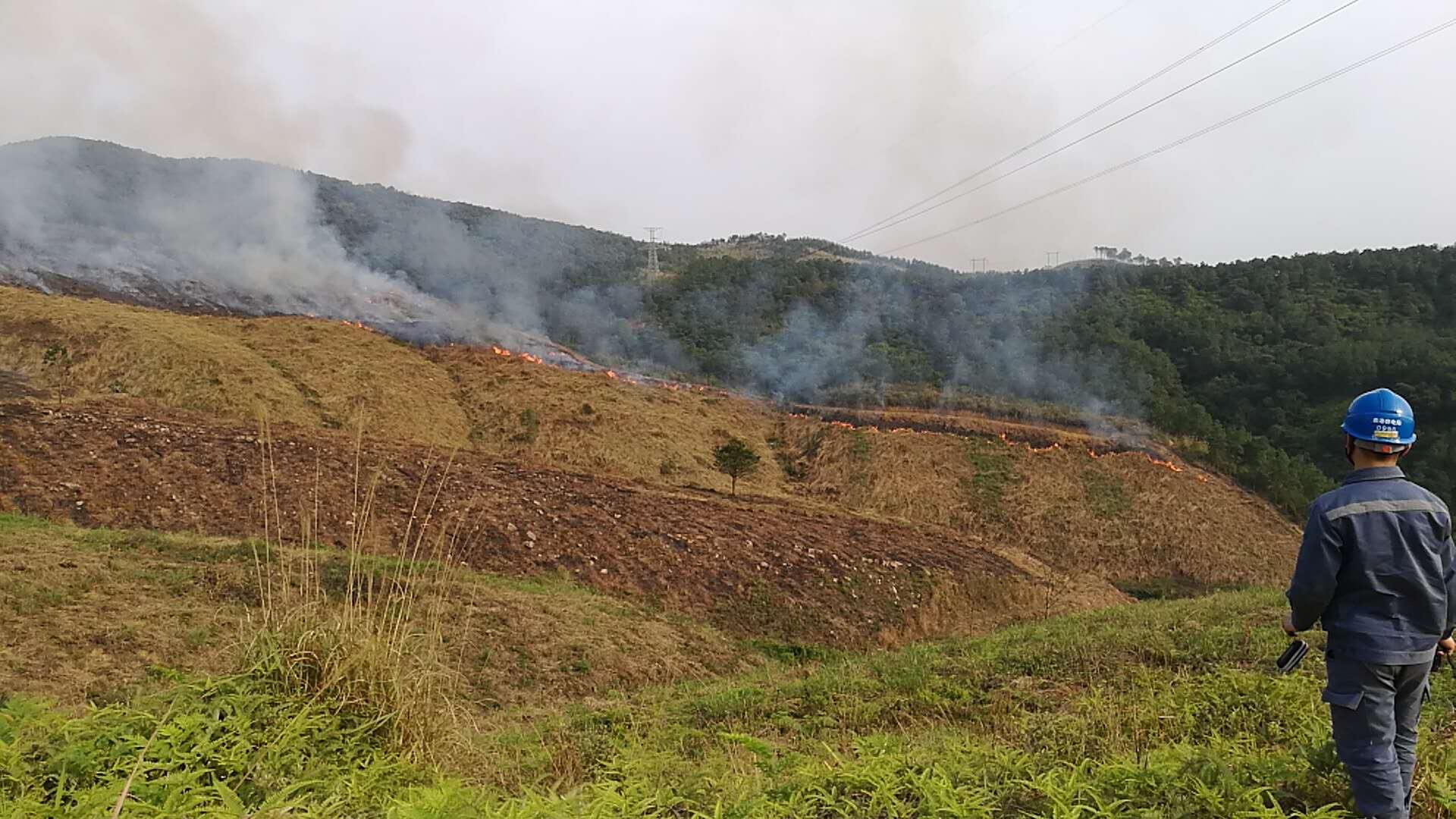 線路山火隱患紅外及可視化在線監(jiān)測(cè)裝置 線路山火隱患紅外及可視化在線監(jiān)測(cè)裝置